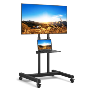 Mobile TV Stand