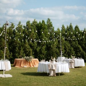 Above 80 Person Event